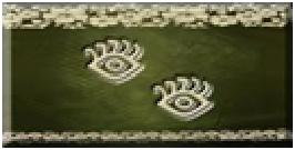 Condecoração Explorador Nível 2